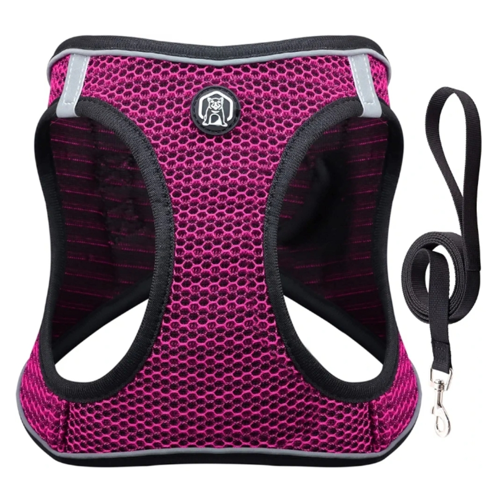 Dog Harness new in the box